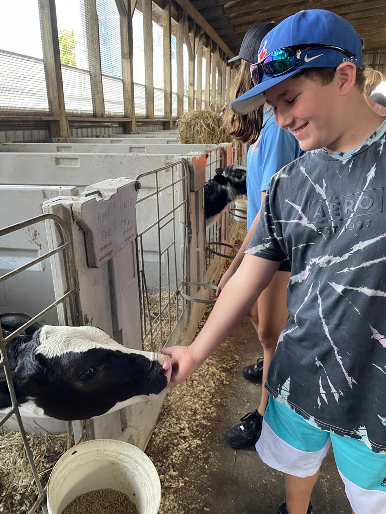 Campers visit a dairy farm and feed the calves