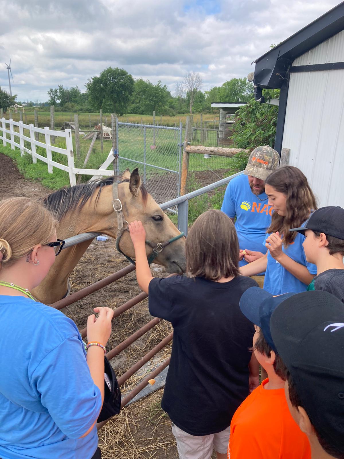 Campers giving the horse a treat